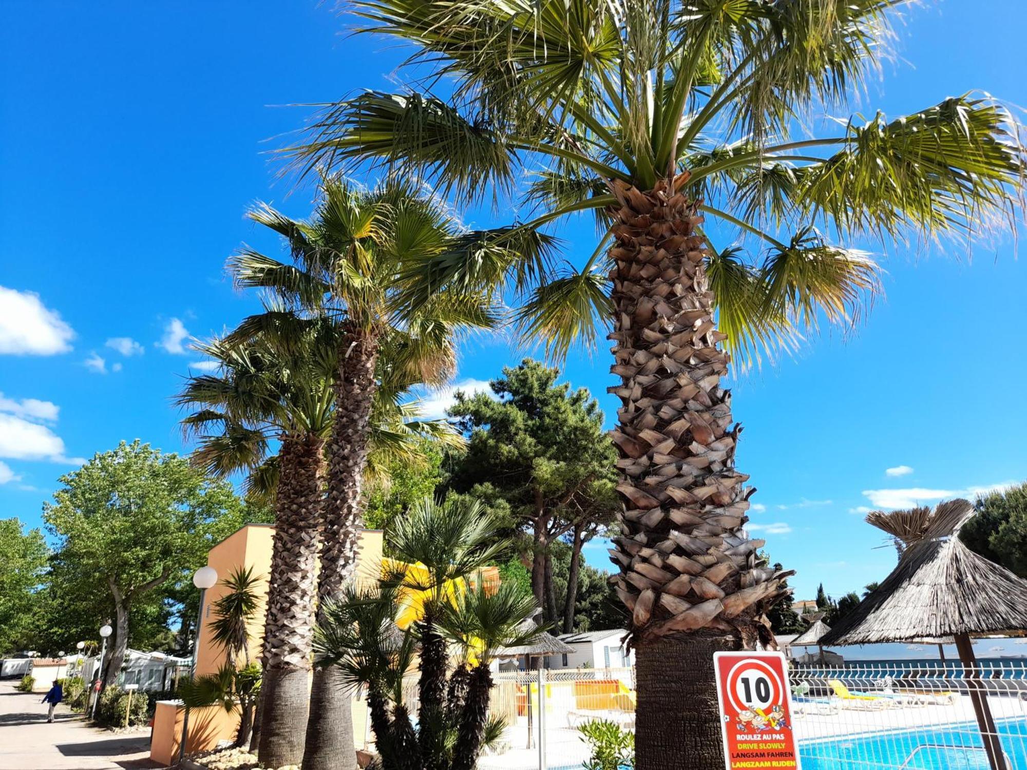 Camping Les Jardins D'Agathe - Maeva Le Grau-dʼAgde Eksteriør billede